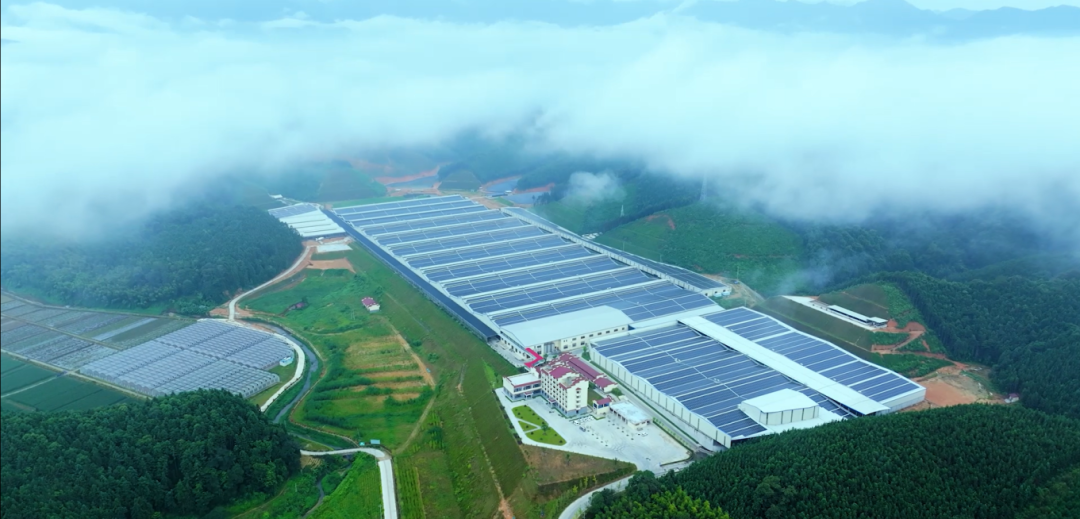 1764893774144035.png eced3d9e3df37f900428c671585184be.png